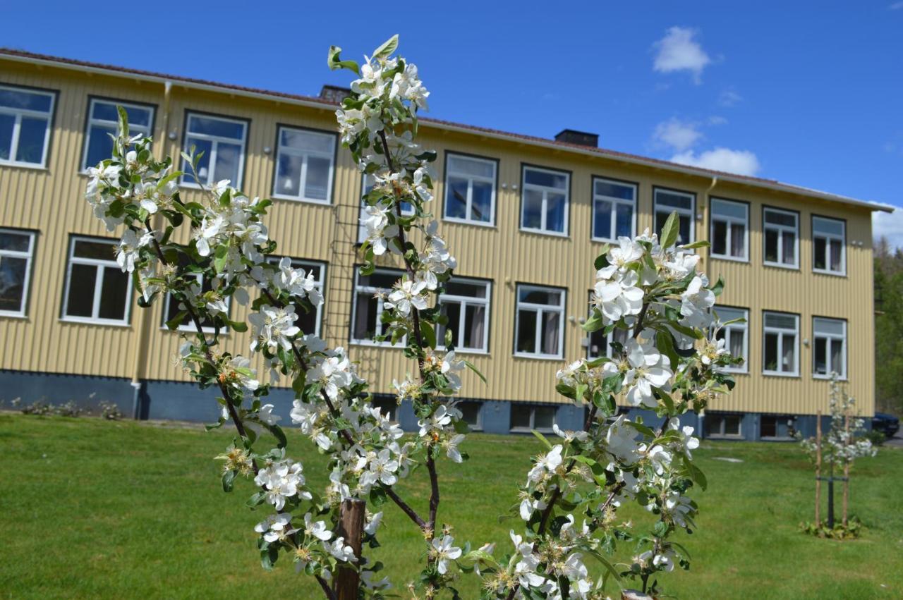 Auberge de jeunesse Kalvs Skolhus Extérieur photo